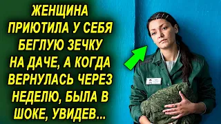 Женщина приютила у себя ее на даче, а когда вернулась через неделю, была потрясена увиденным…