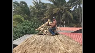 Palapa Fresca