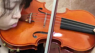Ifstings Private Stock Pristine #170 Antonio Stradivarius 1716 "Messiah"-2