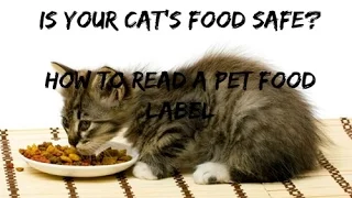 Is Your Cat Food Safe? How To Read A Pet Food Label