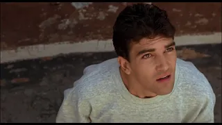 Antonio Banderas (by Pedro Almodóvar)