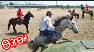 Өзгөн командасы: Жогорку Лигага аракет 👆