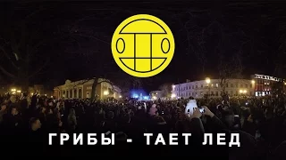 Грибы - Тает лед. Live 360VR. Юморина 2017 Одесса