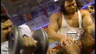 ICOPRO: The Steiner Brothers [1993-06-19]