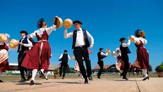 Gesamtschau - Schweizerische Trachtenvereinigung am Marché Concours