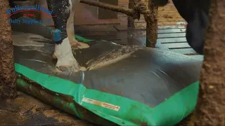 MS AUTO HOOF CLEAN