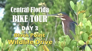 Central Florida Bike Tour - Day 3 | Merritt Island Black Point Wildlife Drive