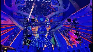 Infected Mushroom - Dreamfields 2022 Guadalajara, Mexico #infectedmushroom