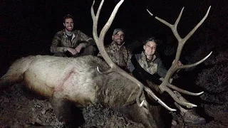 Girl kills 340" Giant Nevada Bull | S1E11 | Limitless Outdoors