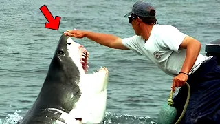 Der Fischer rettete einen weißen Hai, doch er ahnte nicht, wie er ihm danken würde