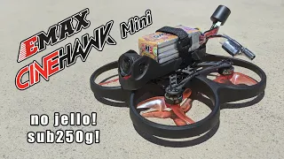 EMAX CINEHAWK Mini 2.5 inch Cinewhoop Review