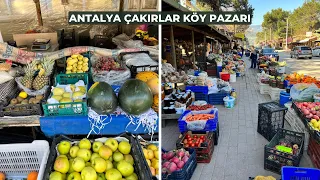 Antalya’da köy pazarı | Çakırlar Köyü pazar yeri