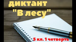 Диктант "В лесу" с подробным анализом. #диктанты #русскийязык #5класс