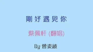 蔡佩軒 -【剛好遇見你】歌詞