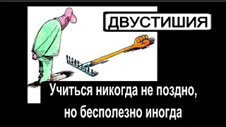 Миллион просмотров на Дзене. Иронические двустишия !!! Классные! Точно понравятся всем!