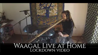 Waagal Live at Home || Handpan Didgeridoo Percussive Fingerstyle Guitar Live Looping One Man Band