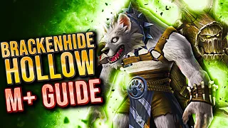 IT’S TIME! Brackenhide Hollow M+ GUIDE