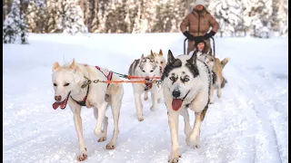 Winter activities in Pello, Lapland Finland - Pellon talvi Lappi - Arctic Circle destination