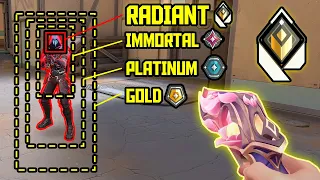 What RADIANT Aim Looks Like...