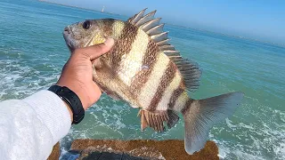 Port Aransas, TX Jetty's Dec 31 22 - Speckled Trout and Sheepshead