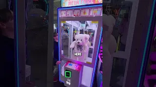 Giant Bear Hangs by 1 Thread in Arcade Game! #shorts