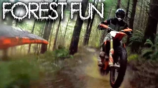 Forest Fun / KTM 450 XC / @motogeo Adventures