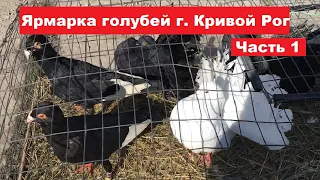 Ярмарка голубей г. Кривой Рог 30.03.2024. Ч.1