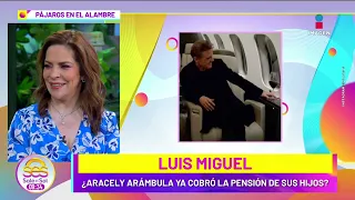 Aracely Arámbula ya le habría cobrado a Luis Miguel la pensión de sus hijos: Asegura famosa revista