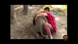 Unbelievable Friendship! wild animals showing love to humans 2017 P2