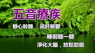 五音疗疾：平心净气，疏肝解郁，睡前听一听，净化大脑，放松助眠！