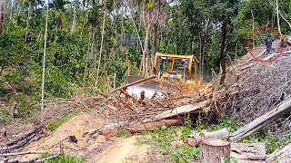 D6r XL Bulldozer Operator Expanding Plantation Roads in Extreme and Woodland Areas, FULL VERSION