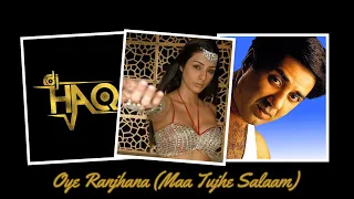 Oye Ranjhana VIDEO | Maa Tujhe Salaam | DJ Haq | Tabu | Sunny Deol | Bollywood Remix