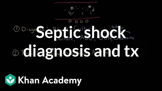 Septic shock: Diagnosis and treatment | Circulatory System and Disease | NCLEX-RN | Khan Academy