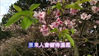 開始懂了KTV