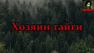 Истории на ночь - Хозяин тайги. Вы приехали и уехали, а нам здесь жить