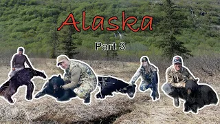 Alaska Bear Hunt. Part 3