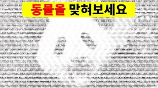 1%의 세심한 사람들만 통과하는 어려운 시력 테스트