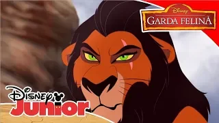 🎧 Când am devenit Scar | Garda Felină | Disney Junior România
