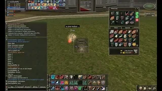 Admin intervened in the gameplay / Playing admin Lineage 2