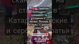 🇷🇺❤️🇷🇸 #Сербские болельщики скандируют на стадионе в #Катаре: “Русские и сербы — братья навек!"