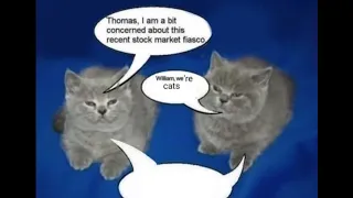 William, we’re cats. (Stock market fiasco)