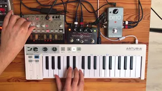 Volca Bass Ambient w/ Looper (TC Electronic Ditto)