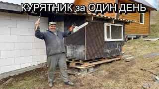 Курятник для несушек своими руками за 1 день ❗️ на 20 кур