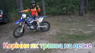 Sherco SE-300 Factory 2023. НАМИВ ДОЩ КОЛІЇ .КОРІННЯ. ПОФІГ. SHERCO 300.2T.