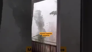 Момент падения деревьев во время сильнейшего урагана в Черкесске /Дождь, ливень / Карачаево-Черкесия