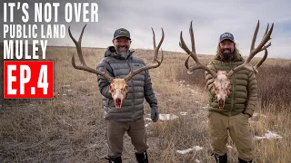 IT'S NOT OVER! | PUBLIC LAND MULEY | BACKPACK HUNT | 4K VIDEO | EP 4