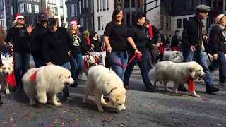 Georgia parade part 2