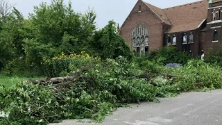 Detroit neighbors fight against blight, city