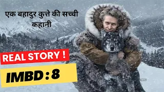 Dog covers 600 Miles Distance in Deadly Snow | Movie Explained in Hindi/Urdu | Ending Explained