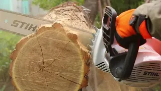 Обзор электропилы STIHL MSE 230C | магазин "Добрий Господар" в Харькове